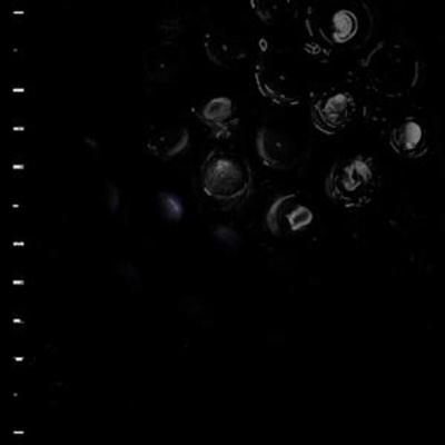 Crumb: Ice Melt - CRUMB, CD