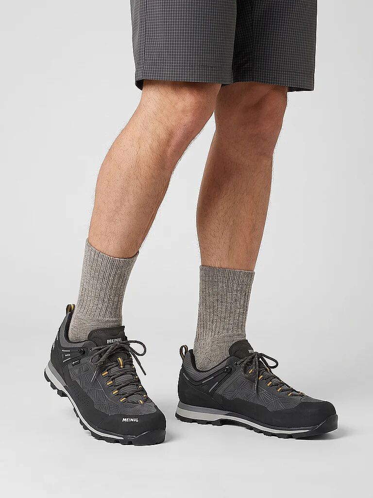 MEINDL Herren Zustiegsschuhe Literock free GTX grau   43 M