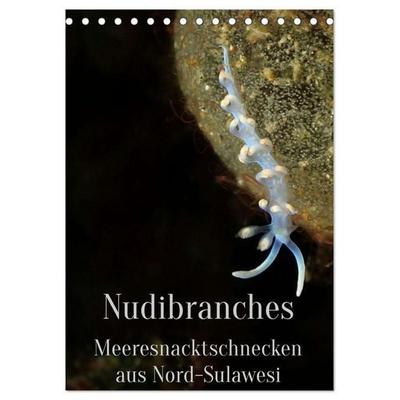 Nudibranches Meeresnacktschnecken aus Nord-Sulawesi (Tischkalender 2027 DIN A5 hoch), CALVENDO Monatskalender