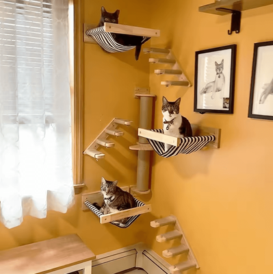 Uplift Curations Wall Mounted Cat Climbing Shelves Wooden Cat Tree With Scratcher Rope Ladder And Sleeping Platform cat Face Platform