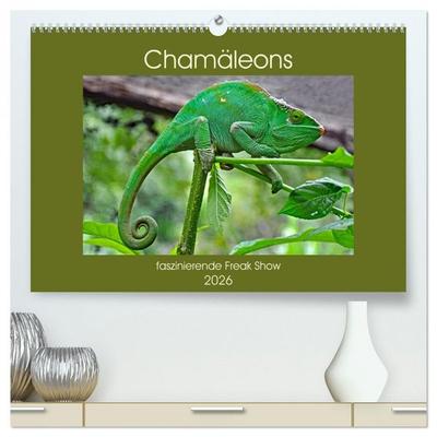 Chamäleons - faszinierende Freak Show (hochwertiger Premium Wandkalender 2026 DIN A2 quer), Kunstdruck in Hochglanz