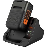 Ladegerät + Akku BDC2A36-QW, 36Volt schwarz