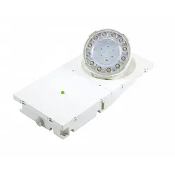 Ceag Notlichtsysteme LED Strahler BT1SC-B1CGL