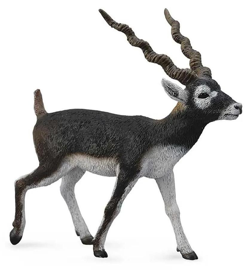 Collecta Handgeschilderd beeldje van een zwarte antilope