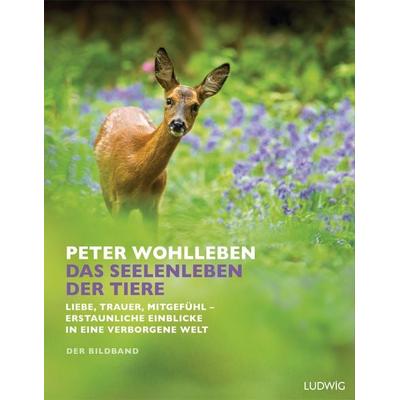 Das Seelenleben der Tiere, Gebundene Ausgabe von Peter Wohlleben, Ludwig, 978-3-453-28110-3