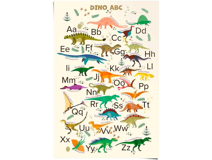 Poster REINDERS Dino ABC , bunt (farbe bild(er): bunt), B:61cm H:91,5cm T:0,1cm, Papier, Bilder, Poster