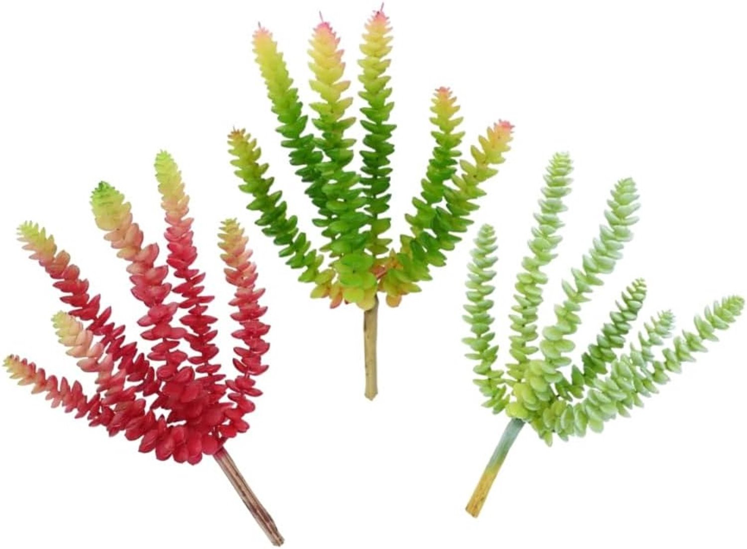 Homevero Set van 3 Mini Kunstmatige Cactus Succulenten in Pot, 19 cm