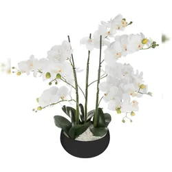 Atmosphera - Künstliche Orchidee 45 x 61,5 cm mit schwarzem Keramiktopf