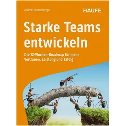 Starke Teams entwickeln, Ratgeber von Andreas Schobesberger
