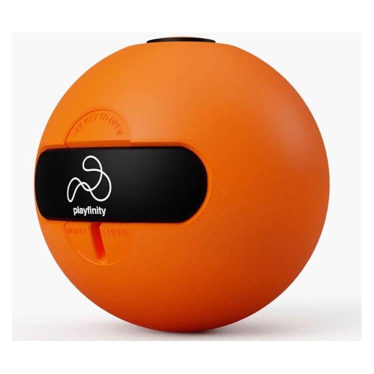 Playfinity Speedy Ball (1016)