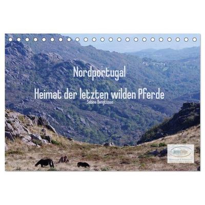 Nordportugal - Heimat der letzten wilden Pferde (Tischkalender 2027 DIN A5 quer), CALVENDO Monatskalender