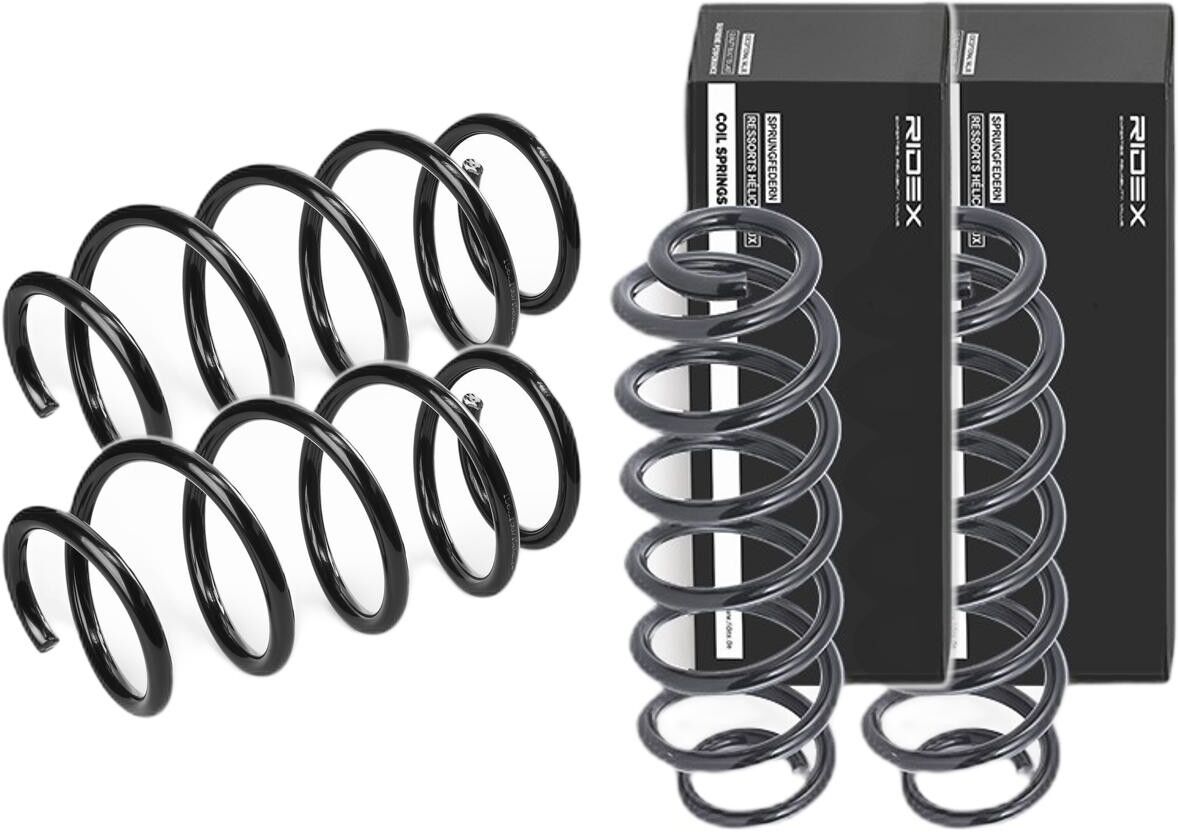 RIDEX 189S0063 Fahrwerksatz, Federn
