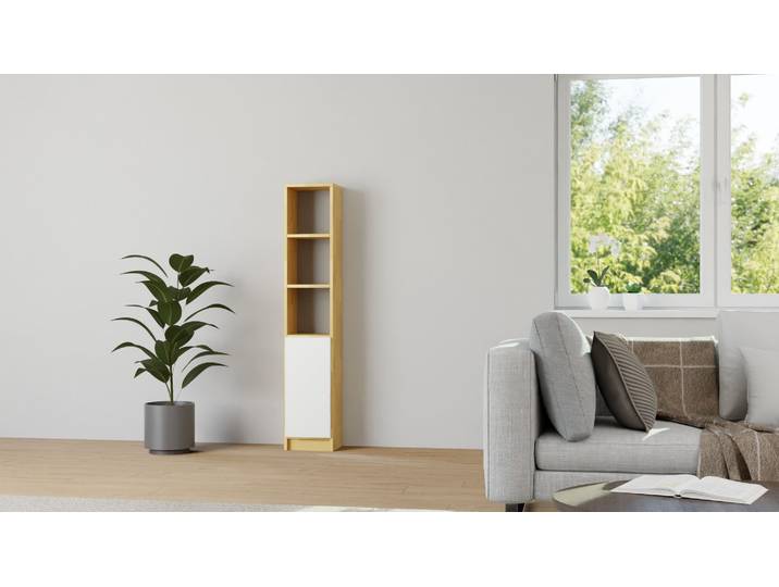 Schlichter CD Schrank nach Maß Buche Natur geölt