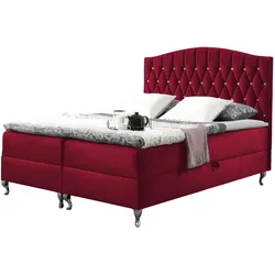 BOXBETT Puerto - H3