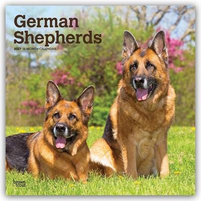 German Shepherds – Deutsche Schäferhunde 2027 – 16-Monatskalender
