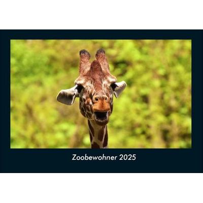 Zoobewohner 2025 Fotokalender DIN A4