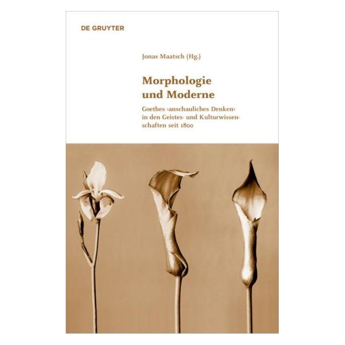 De Gruyter Morphologie und Moderne (61509884)