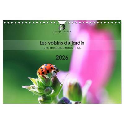 Les voisins du jardin - Une année de rencontres (Calendrier mural 2026 DIN A4 vertical), CALVENDO calendrier mensuel