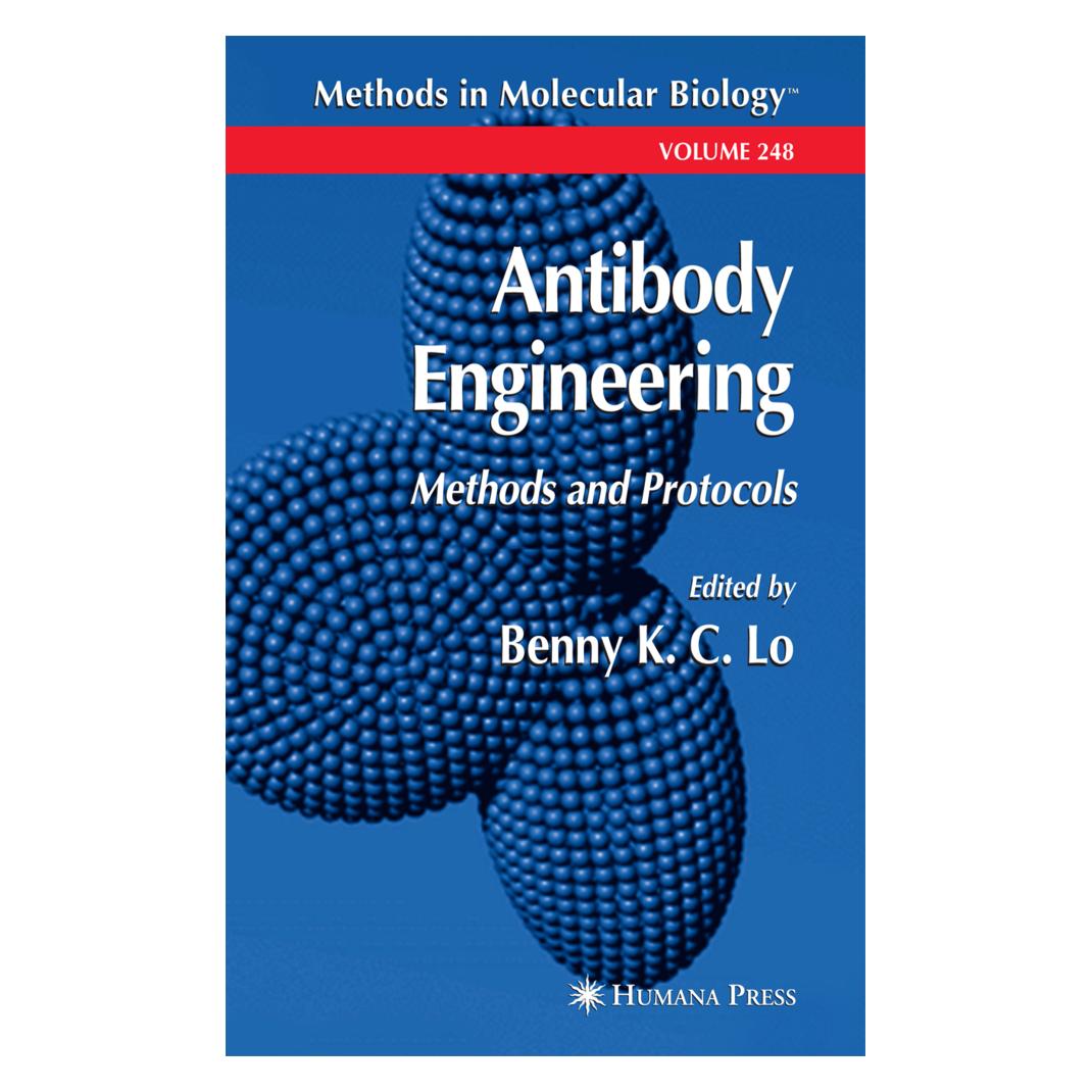 Springer Antibody Engineering (Englisch, Softcover, Benny K. C. Lo, K C Lo Benny) (55382688)