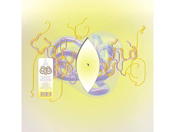 Family (Katie Gately Rmx / Clear)