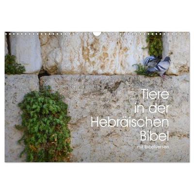 Tiere in der Hebräischen Bibel mit Bibelversen (Wandkalender 2027 DIN A3 quer), CALVENDO Monatskalender