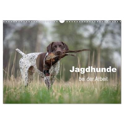 Jagdhunde bei der Arbeit (Wandkalender 2027 DIN A3 quer), CALVENDO Monatskalender