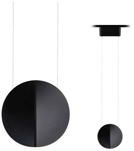 Paulmann Alejandro Hochvolt-Schienensystem-Leuchte URail 10W LED Schwarz (matt)