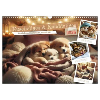 Kuscheliges & Knuddeliges (Wandkalender 2026 DIN A3 quer), CALVENDO Monatskalender
