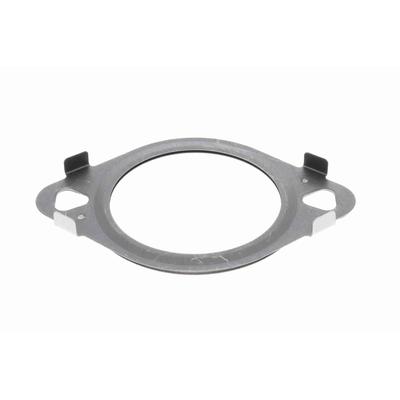 VEMO Dichtung, AGR-Ventil v10630181 für VAG
