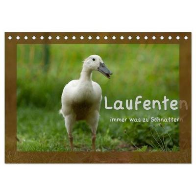 Laufenten immer was zu Schnattern (Tischkalender 2027 DIN A5 quer), CALVENDO Monatskalender