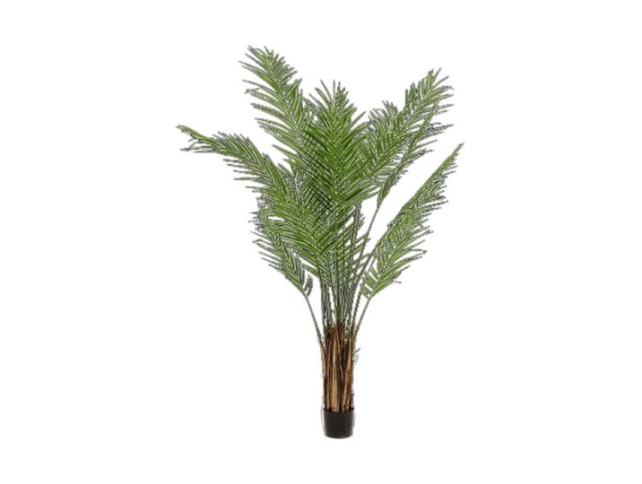Lebensechte Kunstpflanze „Areca Bush“, verschiedene Grössen Grün Baq Design