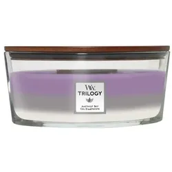 Amethyst Sky (Trilogy) 454g