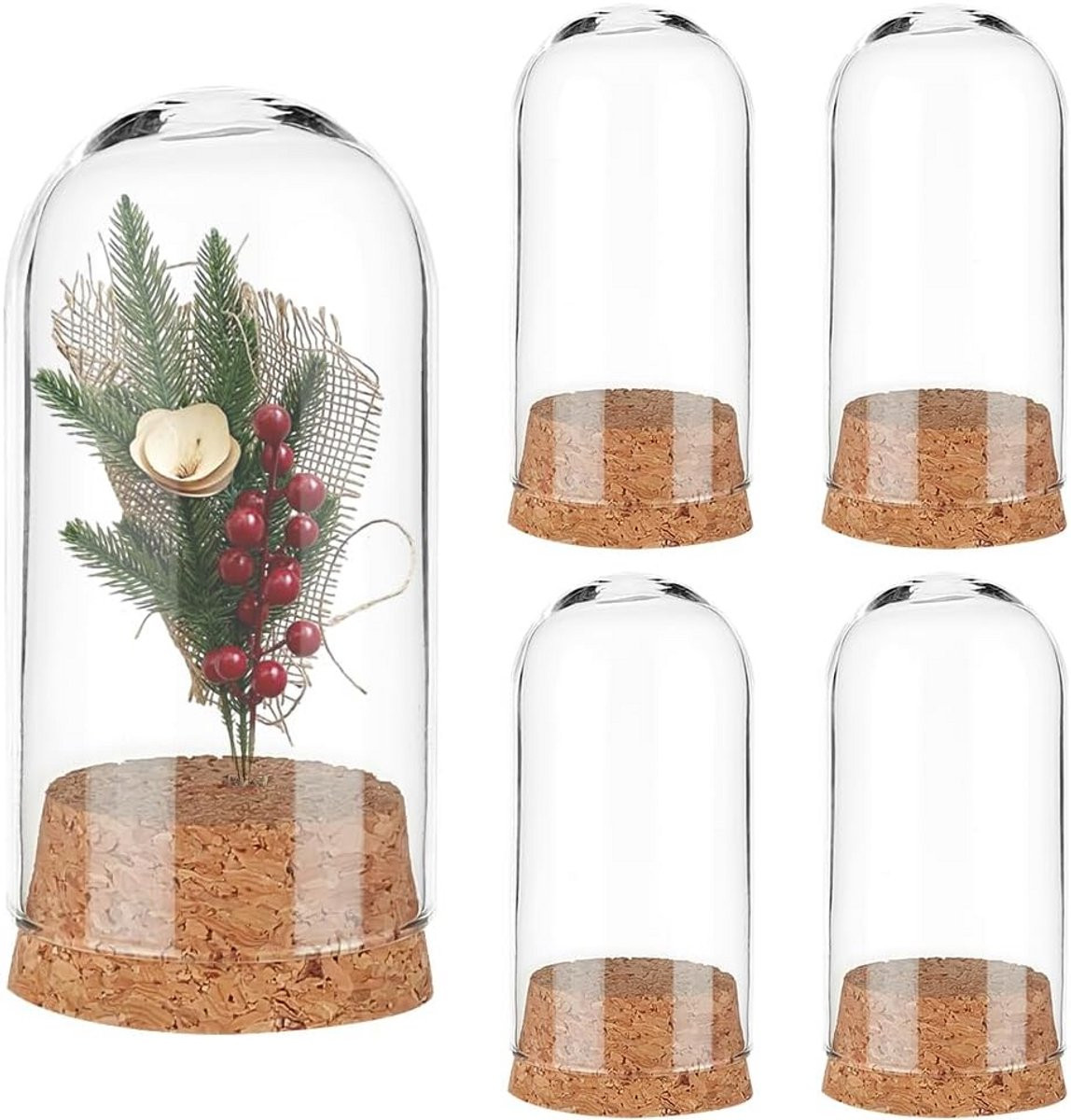 4 Delige Set Glazen Display Koepels met Kurken Basis voor Decoratie en Opslag