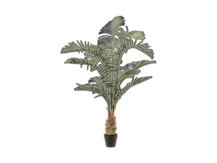 Lebensechte Kunstpflanze „Areca Palm“, 85 x 120 cm Grün Baq Design