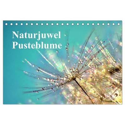 Naturjuwel Pusteblume (Tischkalender 2027 DIN A5 quer), CALVENDO Monatskalender