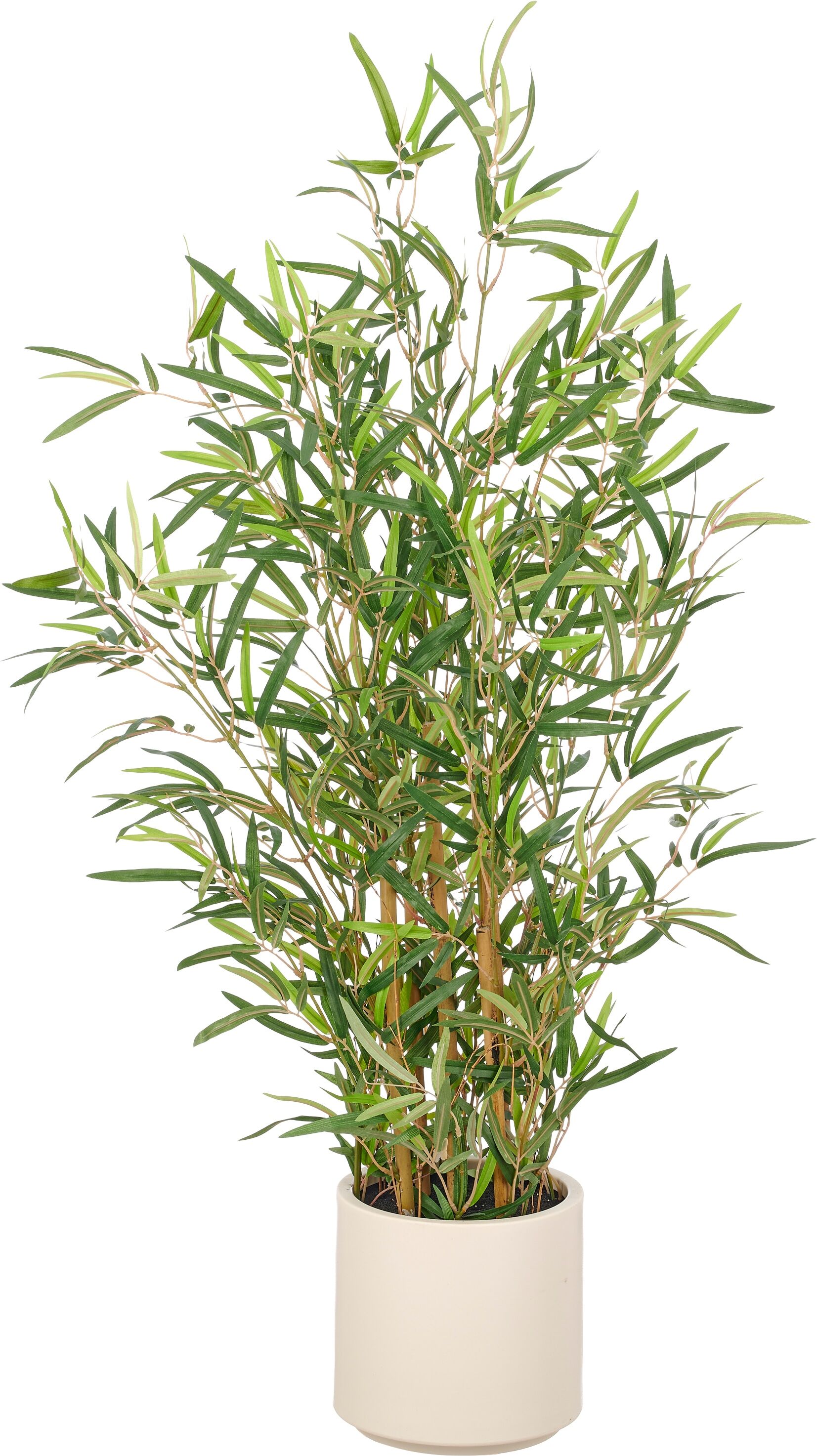 Kunstbambus CREATIV GREEN "Bambus fargesia", grün, H:100cm, Obermaterial: 75% Polyester, 25% Kunststoff, Kunstpflanzen, Kunstbambus, mit naturgetreuem Blattwerk