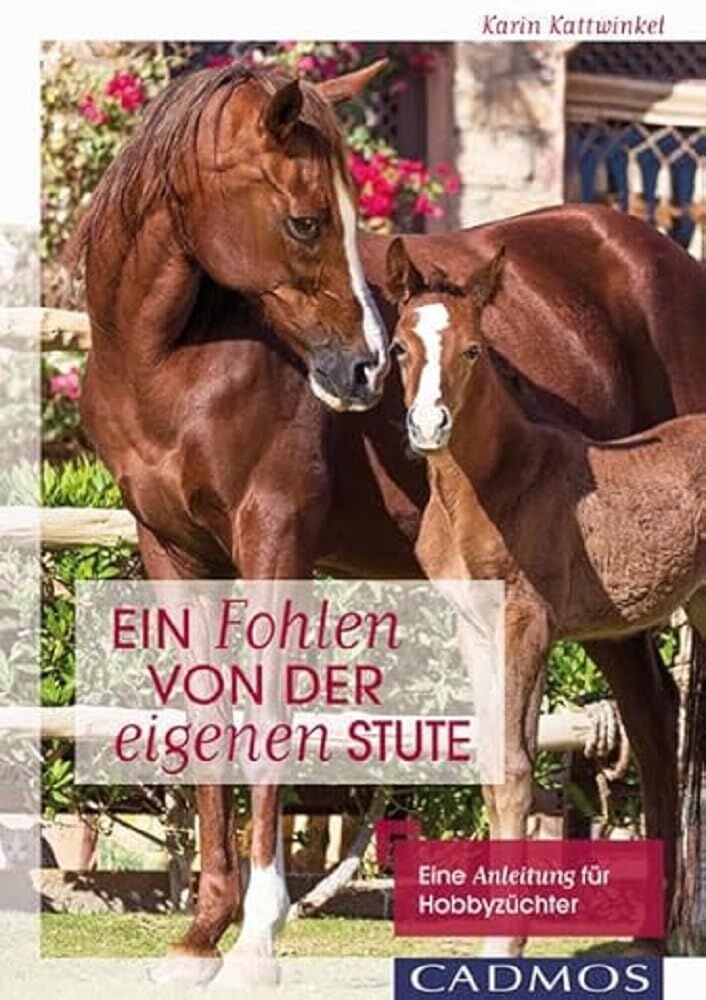 Karin Kattwinkel - Ein Fohlen von der eigenen Stute - Preis vom 30.09.2026 22:30:23 h