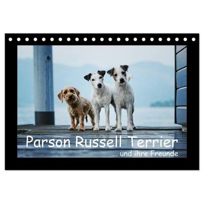 Parson Russell Terrier (Tischkalender 2027 DIN A5 quer), CALVENDO Monatskalender