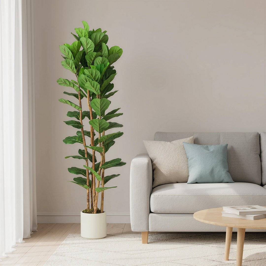 Latitude Run 180cm Artificial Fiddle Leaf Fig Tree with Solid Wood Trunks Green 180 cm x 55 cm