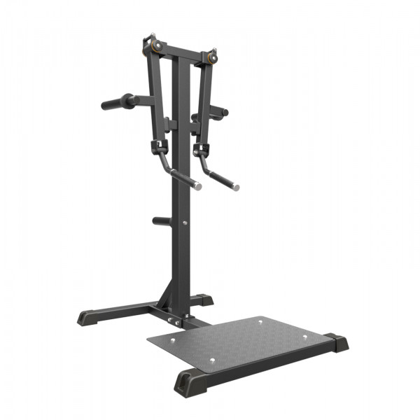 Taurus Seithebemaschine IFP | Standing Lateral Raise TF-IFP1103