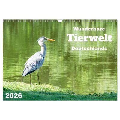 Wunderbare Tierwelt Deutschlands (Wandkalender 2026 DIN A3 quer), CALVENDO Monatskalender