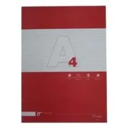 OEM A4 kariert Papier Nachfüllung 100gr 100 Blatt 1un