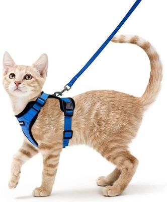 Inspired Finds SafePaws Escape Proof Reflective Cat Harness & Leash Set blue s
