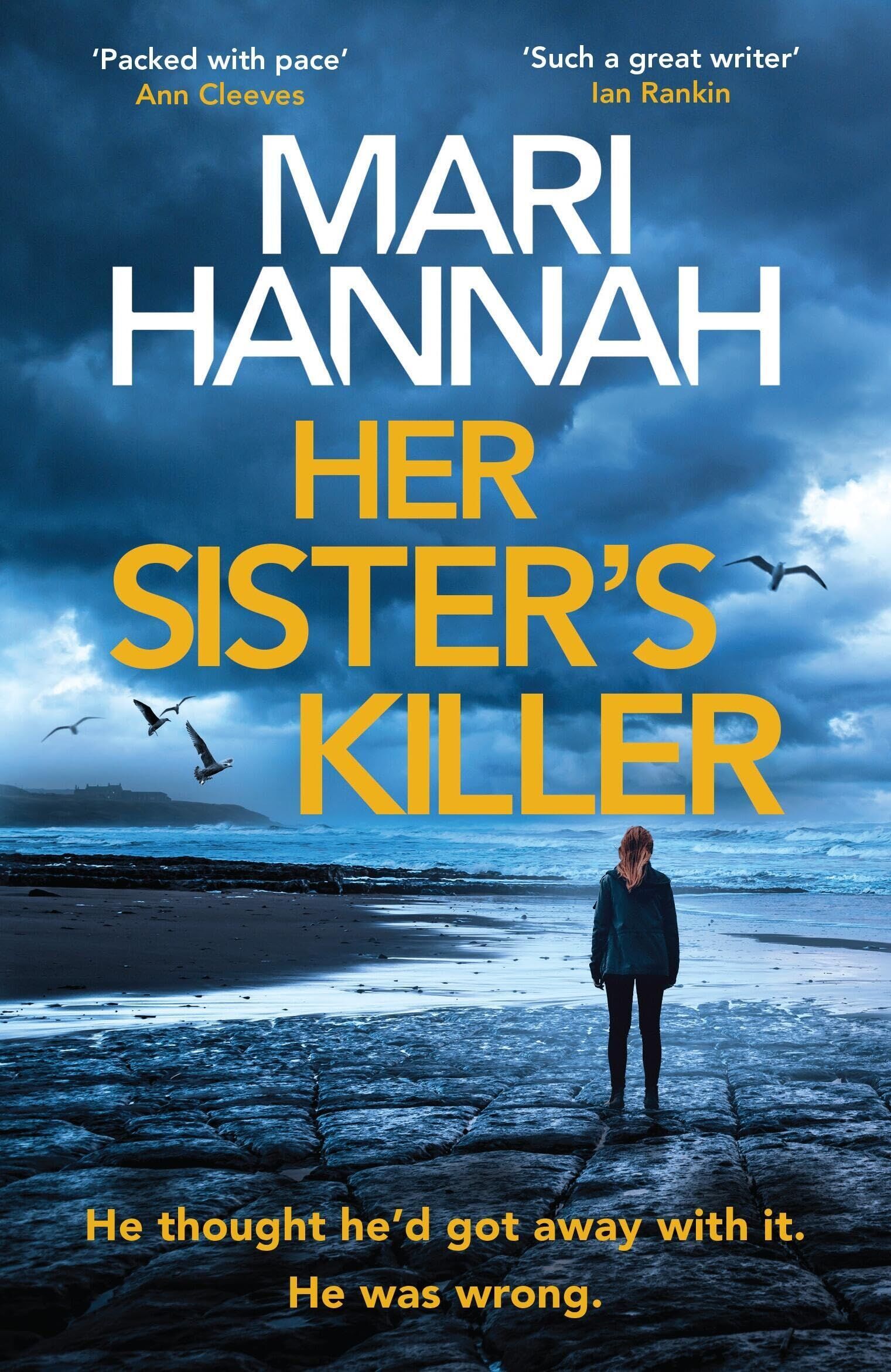 Mari Hannah - Her Sister's Killer - Preis vom 07.10.2026 11:45:10 h