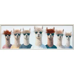 Leinwandbild BOYBAND THE LAMA (BHT 120x40x3.50 cm) - BHT 120x40x3.50 cm