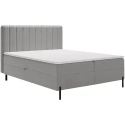 BOXBETT Primavera 160x200 Hellgrau