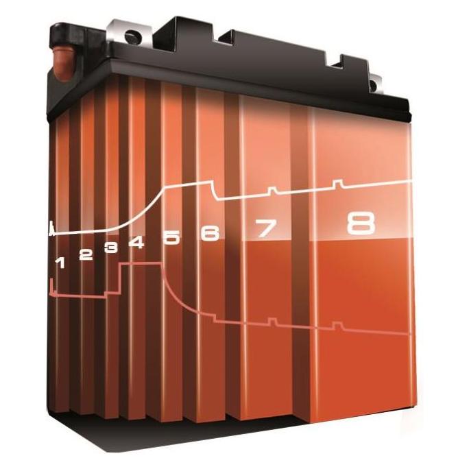 Bahco Vollautomatisches Mikroprozessor Batterieladegerät BBCE12-6, 6 Ampere, 8-stufig (6 A, 12V) (BBCE12-6)