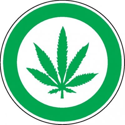 Dreifke® Hinweisschild Cannabis erlaubt, praxisbewährt, Folie, selbstklebend, Ø 200mm