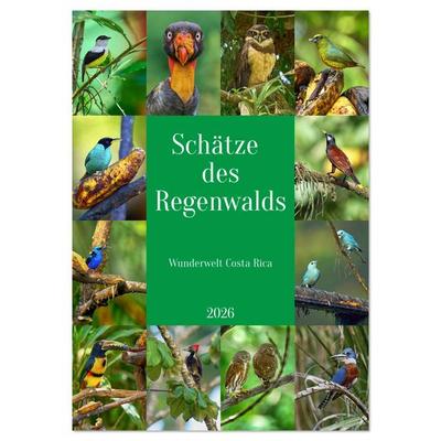 Schätze des Regenwalds (Wandkalender 2026 DIN A4 hoch), CALVENDO Monatskalender