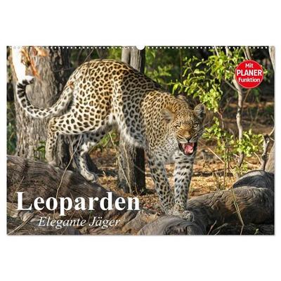 Leoparden. Elegante Jäger (Wandkalender 2027 DIN A2 quer), CALVENDO Monatskalender